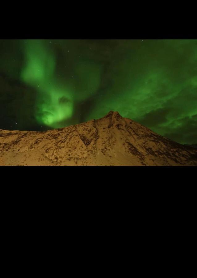 Senja Villa Gryllefjord Exterior foto